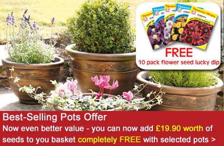 Best Selling Pots - now with £19.90 worth of FREE SEEDS